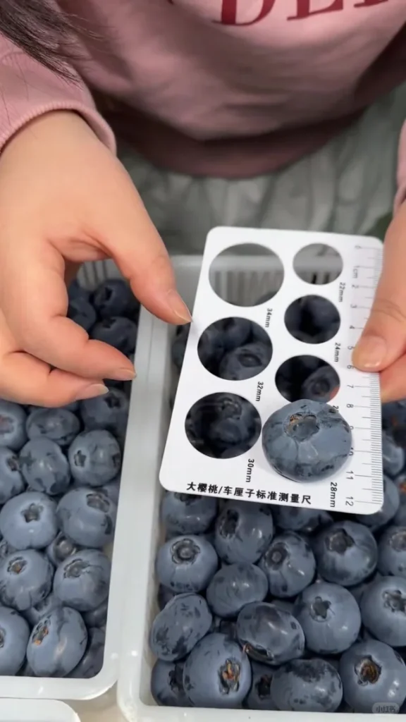 01e8c25db4bd184500100000000199373e16b3 0.webp