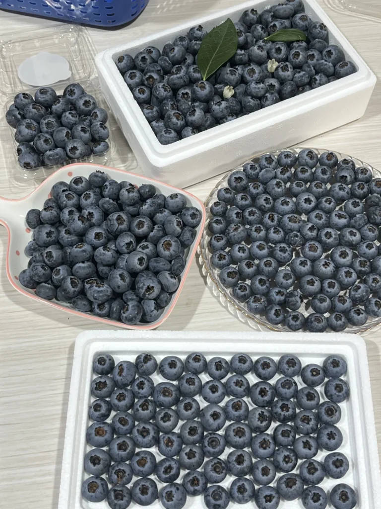 1040g00831cv5tp5l0s105omsqkcnqg1md4jnpiond dft wlteh webp 3.webp